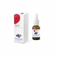 Esencias Florales Clitoria Ternatea