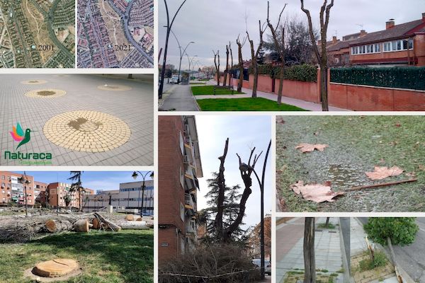 Naturaca se adhiere al proyecto 'La Mesa del Árbol de Getafe'