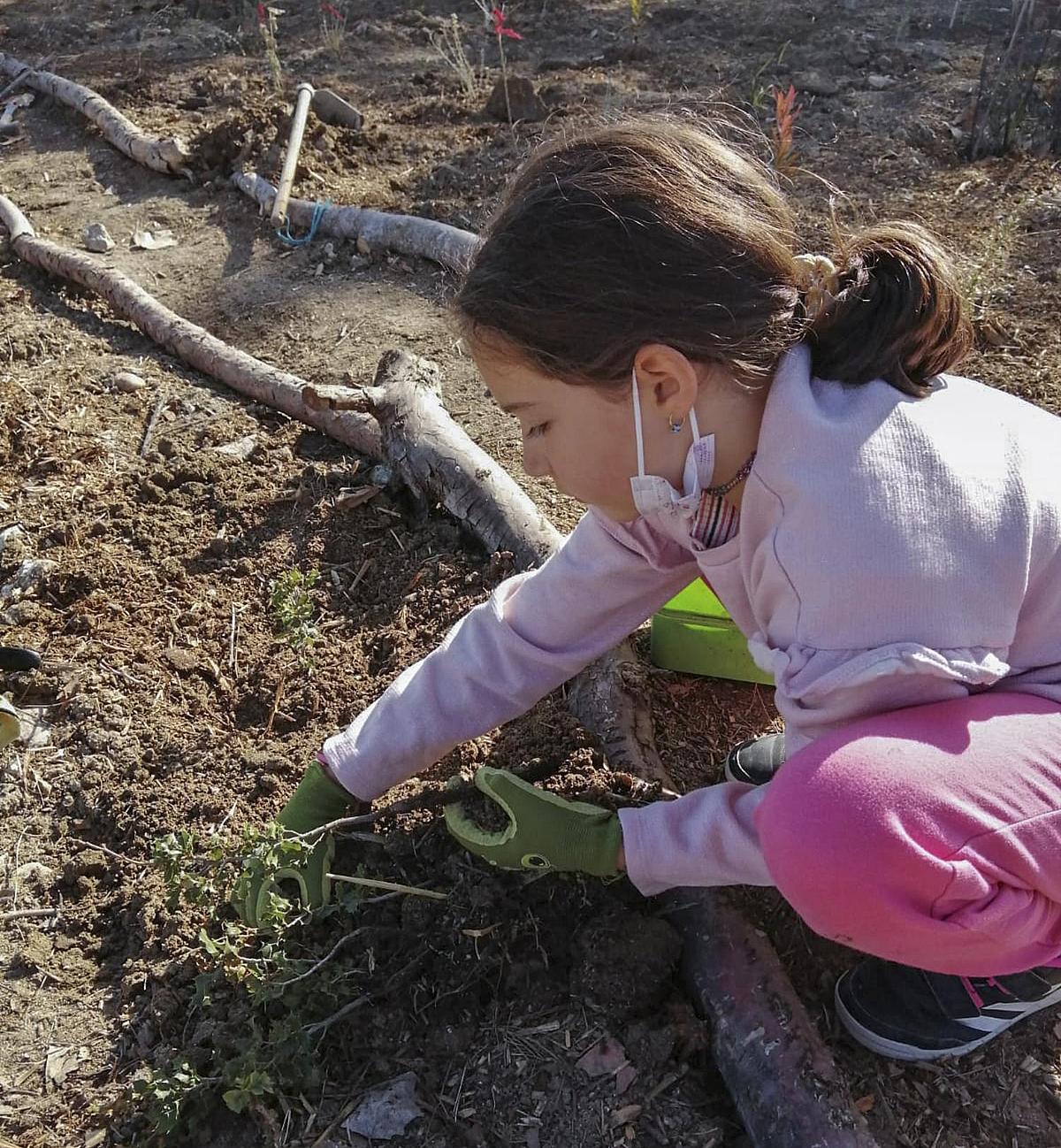 Un proyecto vecinal en Getafe convierte una escombrera en un mini bosque rodeado de encinas