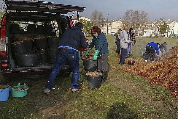 Un proyecto vecinal en Getafe convierte una escombrera en un mini bosque rodeado de encinas