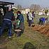 Un proyecto vecinal en Getafe convierte una escombrera en un mini bosque rodeado de encinas