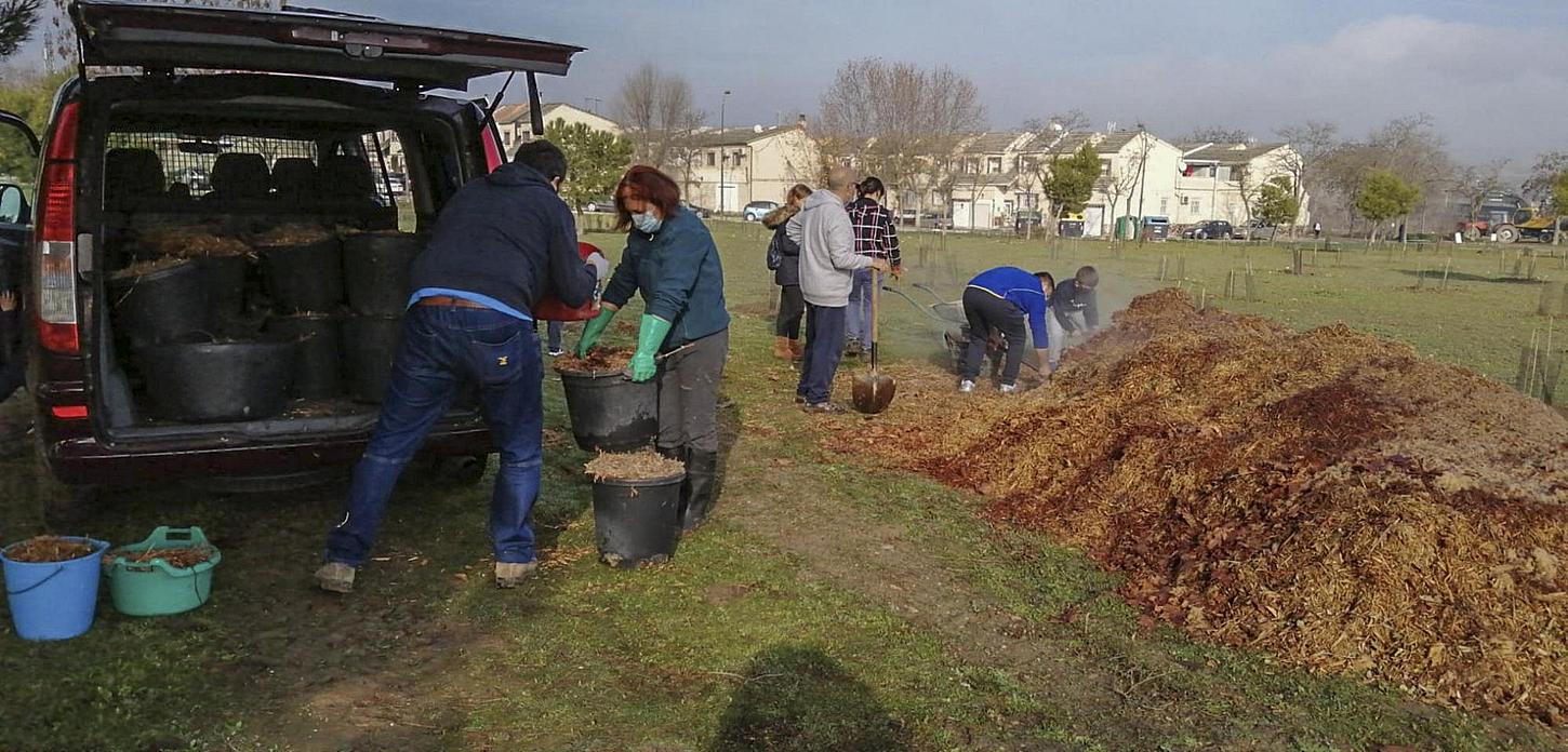 Un proyecto vecinal en Getafe convierte una escombrera en un mini bosque rodeado de encinas