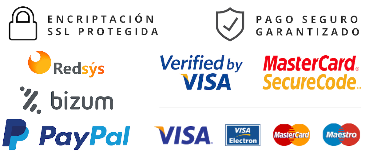 pago seguro visa mastercard paypal